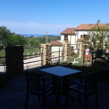 Granchi
